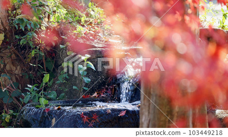 Blurred red maple leaves against the background of the stream 103449218