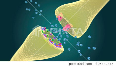Dopaminergic Intrinsic Activity in Bipolar Depression Dopaminergic Intrinsic Activity in Bipolar Depression 103449257