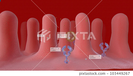 Covid-19 Immune Response with Vaccination, Antibodies Covid-19 Immune Response with Vaccination, Antibodies 103449267