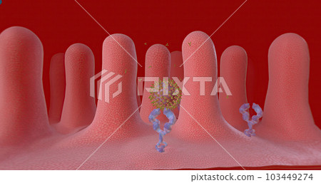 Covid-19 Immune Response with Vaccination, Antibodies Covid-19 Immune Response with Vaccination, Antibodies 103449274