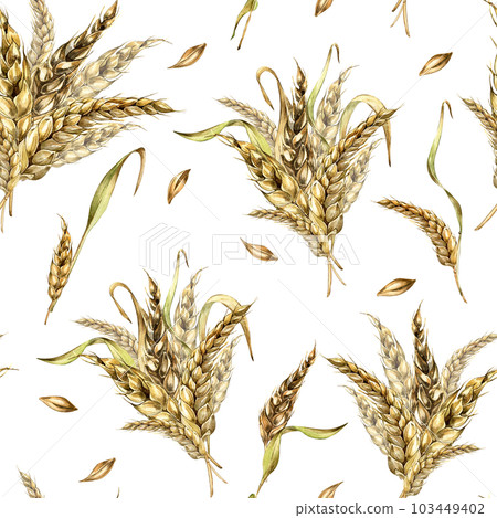 Wheat ear bunch watercolor seamless pattern isolated on white background. Spikelet of rye, barley, grains hand drawn. Design element for textile, paper, packaging, label grocery, bakery, wrapping Wheat ear bunch watercolor seamless pattern isolated on white background. Spikelet of rye, barley, grains hand drawn. Design element for textile, paper, packaging, label grocery, bakery, wrapping 103449402