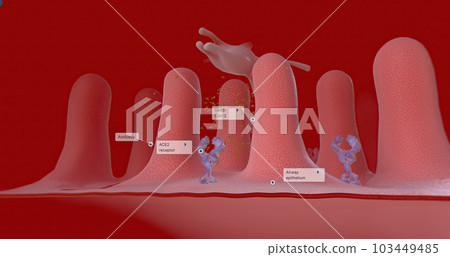 Covid-19 Immune Response with Vaccination, Virus Destruction Covid-19 Immune Response with Vaccination, Virus Destruction 103449485