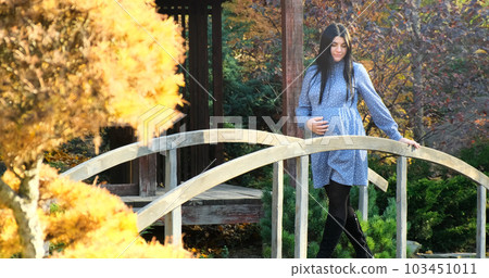 Beautiful pregnant woman walks in autumn park. Happy, pregnant, smiling mother in dress enjoys nature beauty. Maternity happiness outdoor. Expecting baby. Healthy, active pregnancy. Motherhood joy Beautiful pregnant woman walks in autumn park. Happy, pregnant, smiling mother in dress enjoys nature beauty. Maternity happiness outdoor. Expecting baby. Healthy, active pregnancy. Motherhood joy 103451011