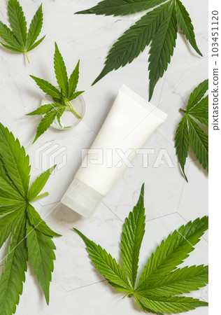 Blank Cream tube near green cannabis leaves on white table, top view. Cosmetic Mockup Blank Cream tube near green cannabis leaves on white table, top view. Cosmetic Mockup 103451120