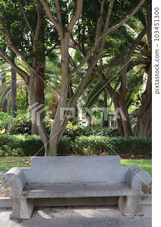 Stone bench along the alley in Garcia Sanabira public park, Santa Cruz de Tenerife 103451300