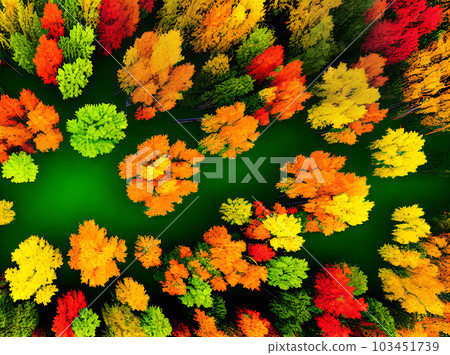 Magical forest fairytale drawing Pantone palette. 103451739