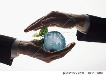 Human Hand Holding the World in Hands on white background 103451881