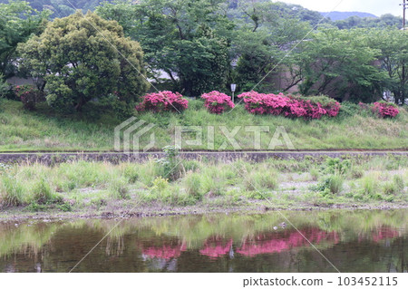 Landscape reflected on the water surface 103452115