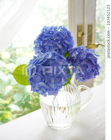 花瓶中的藍色繡球花 103452123