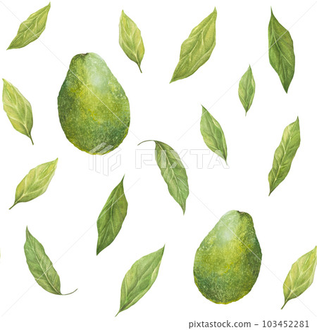Watercolor seamless pattern with illustration of appetizing green hass avocados and leaves on white background. Watercolor seamless pattern with illustration of appetizing green hass avocados and leaves on white background. 103452281