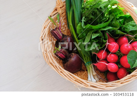 Romaine salad, radish, beetroot, garlic, arugula. Basket with various vegetables. Top view. Place for text. Romaine salad, radish, beetroot, garlic, arugula. Basket with various vegetables. Top view. Place for text. 103453118