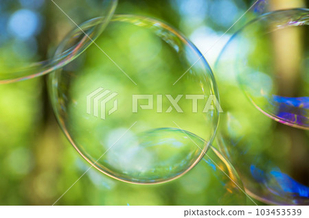 Fresh green sparkling background and rainbow soap bubbles Fresh green sparkling background and rainbow soap bubbles 103453539