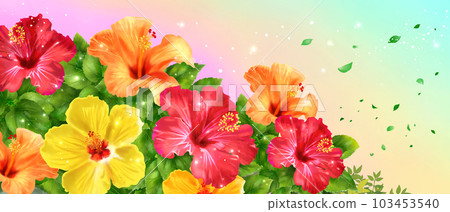 Hibiscus and rainbow background Horizontally long Hibiscus and rainbow background Horizontally long 103453540