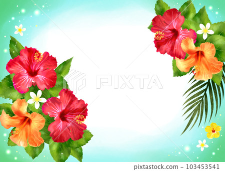 Refreshing frame of hibiscus Refreshing frame of hibiscus 103453541