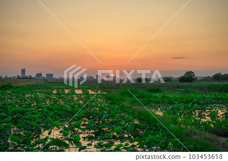 Japanese countryside material image 103453658