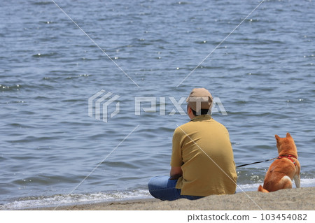 A couple looking at the sea A family walking their dog 103454082