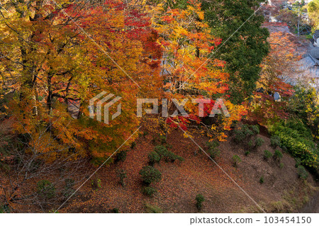 Autumn foliage scenery around Oka Castle Ruins (Taketa City, Oita Prefecture) Autumn foliage scenery around Oka Castle Ruins (Taketa City, Oita Prefecture) 103454150