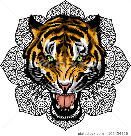 vector illustration of tiger head with mandala. vector illustration of tiger head with mandala. 103454536