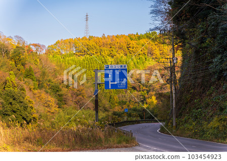 A view of autumn foliage seen from the road leading to the ruins of Oka Castle (Taketa City, Oita Prefecture) 103454923