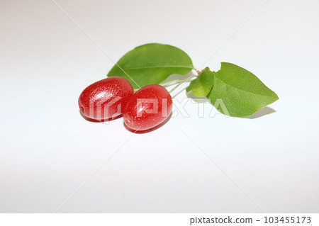 粘性水果 103455173