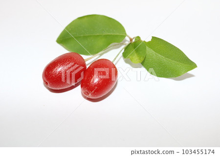 Gummy fruit 103455174