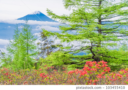 [Yamanashi Prefecture] Mt. 103455410