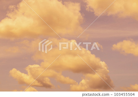 Trend color background 103455504