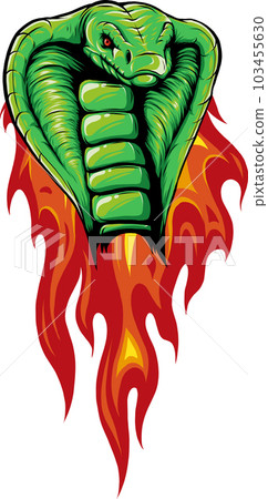 vector illustration of cobra head with flames vector illustration of cobra head with flames 103455630