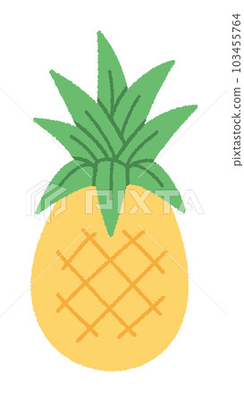 Hand-drawn vector illustration of pineapple / Illustration that feels summer 103455764
