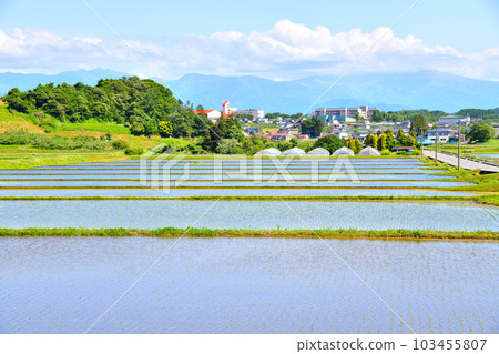 飯綱町風景（不光寺、山水、伊母川地區）（長野縣飯綱町）[2023.5] 103455807