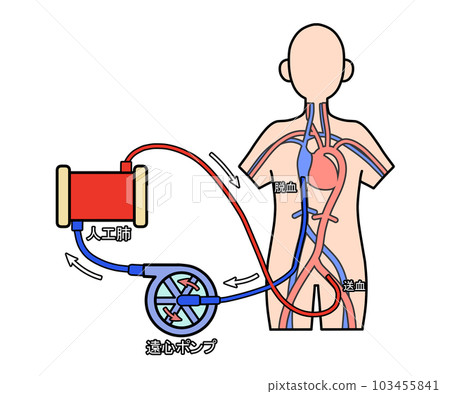 heart, nurse, registered nurse 103455841