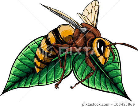vector illustration of bee on leaves design art 103455969