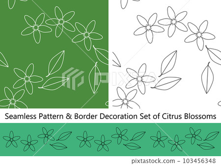 Set of citrus flowers seamless patterns and border ornaments Set of citrus flowers seamless patterns and border ornaments 103456348