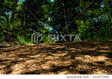 Mountain road 103457094