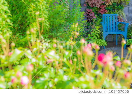 Kayu-tei, a garden full of beautiful flowers <Toyota City, Aichi Prefecture> 103457096