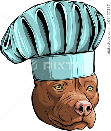 Pit bull Terrier in a chef s cap. Vector illustration. 103457337