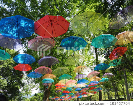 Umbrella Sky Kanra Sogo Park (Kanra DE Umbrella Sky) Umbrella Sky Kanra Sogo Park (Kanra DE Umbrella Sky) 103457704