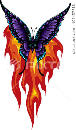 vector Illustration of a butterfly made of fire vector Illustration of a butterfly made of fire 103457718