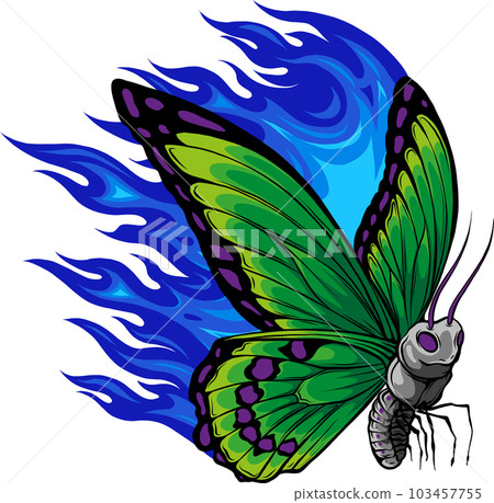 vector Illustration of a butterfly made of fire vector Illustration of a butterfly made of fire 103457755