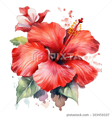 Red hibiscus flower watercolor. Illustration AI... - Stock Illustration ...