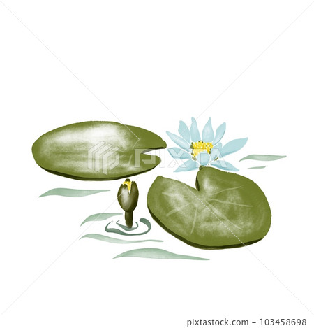 digital watercolor flower - water lily leaves, flower 103458698