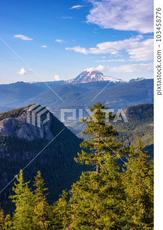Rocky Mountain Cliffs and green trees in Canadian Nature Landscape. 103458776