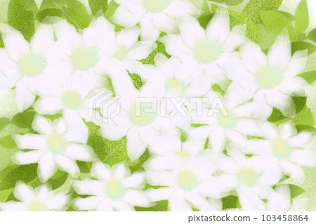 鐵線蓮白花卡 鐵線蓮白花卡 103458864