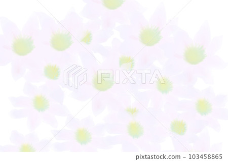 Clematis white flower card 2 Clematis white flower card 2 103458865