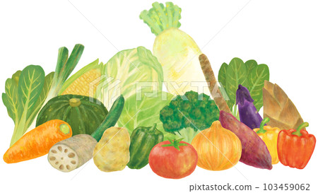 vegetables 103459062