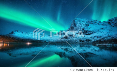 Northern lights over snowy mountains, sea, reflection in water Northern lights over snowy mountains, sea, reflection in water 103459175