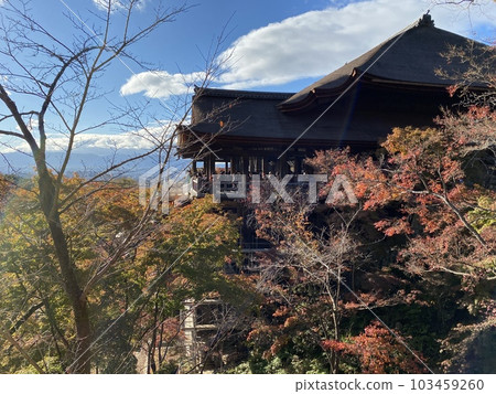 秋葉和清水寺 秋葉和清水寺 103459260