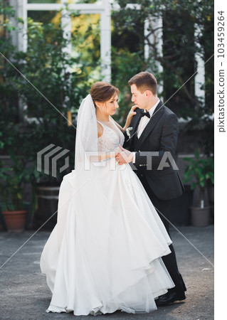 Happy beautiful newlyweds dancing in a park Happy beautiful newlyweds dancing in a park 103459264