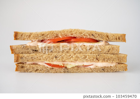 Sandwich with fresh tomato 103459470