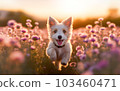 White Puppy Running 103460471